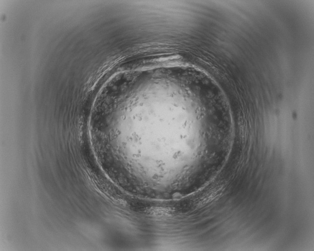 X0000056370255200508261410