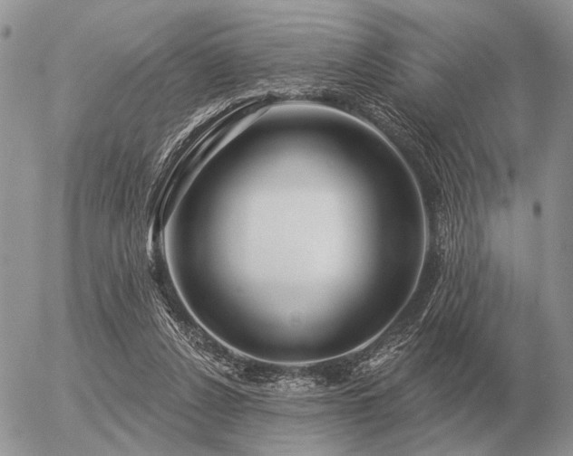 X0000056370256200508261410