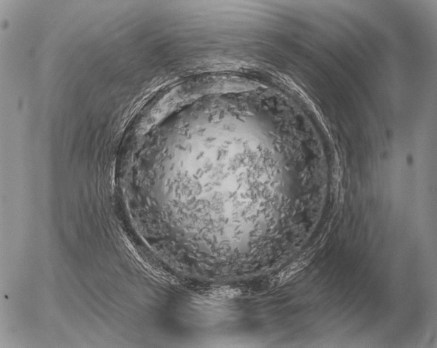 X0000056370257200508261410