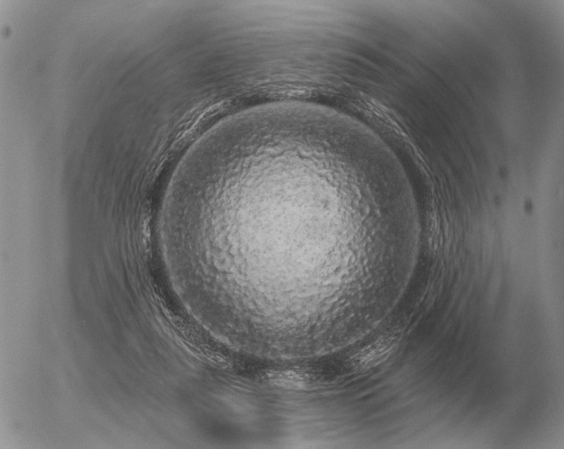 X0000056370259200508261410