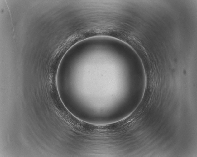 X0000056370260200508261410