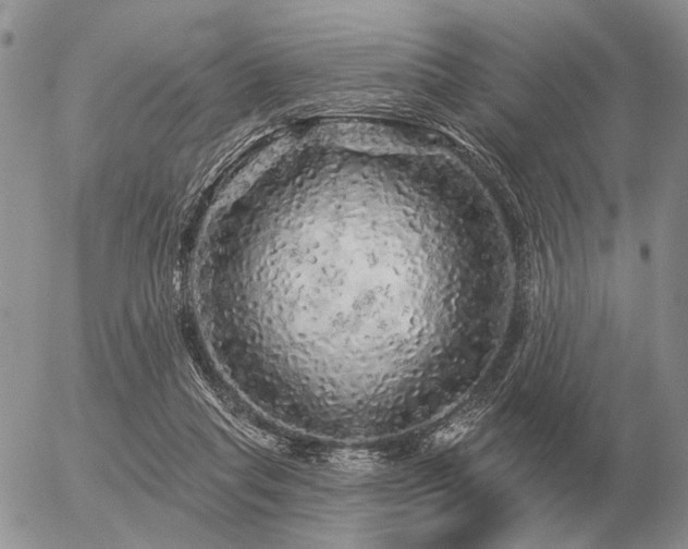 X0000056370261200508261410