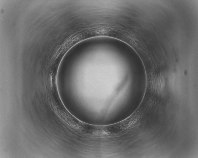 X0000056370262200508261410