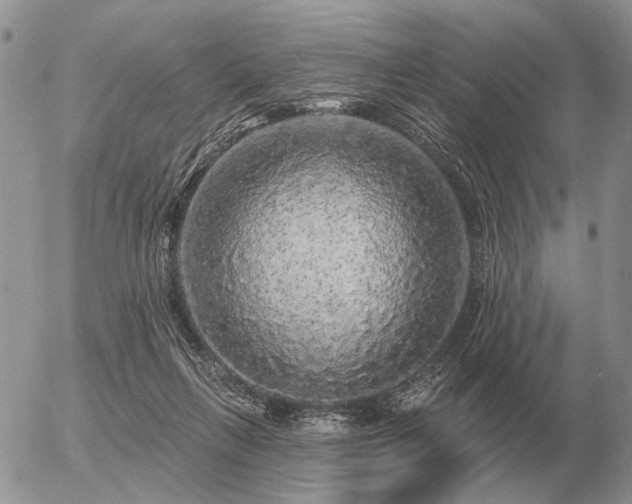 X0000056370263200508261410