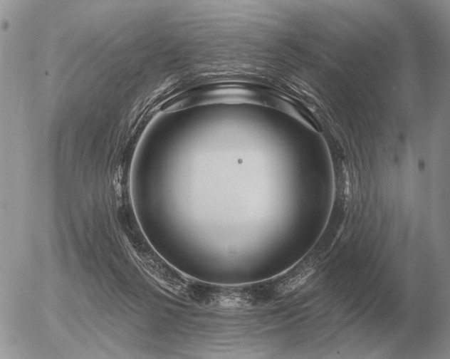 X0000056370264200508261410