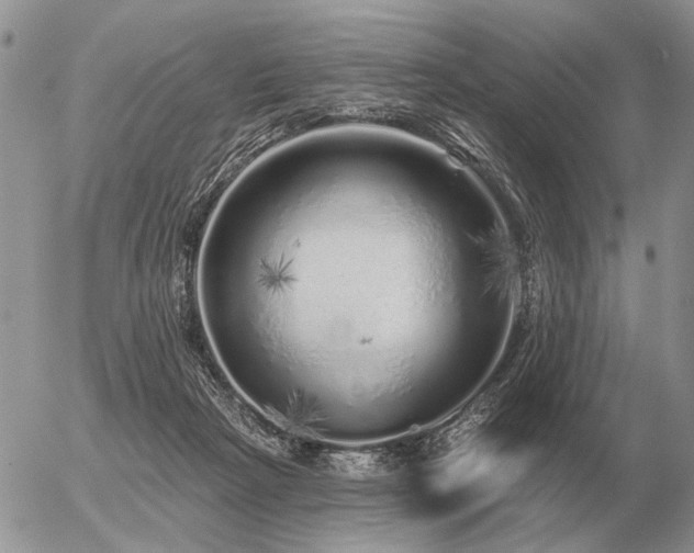 X0000056370265200508261410