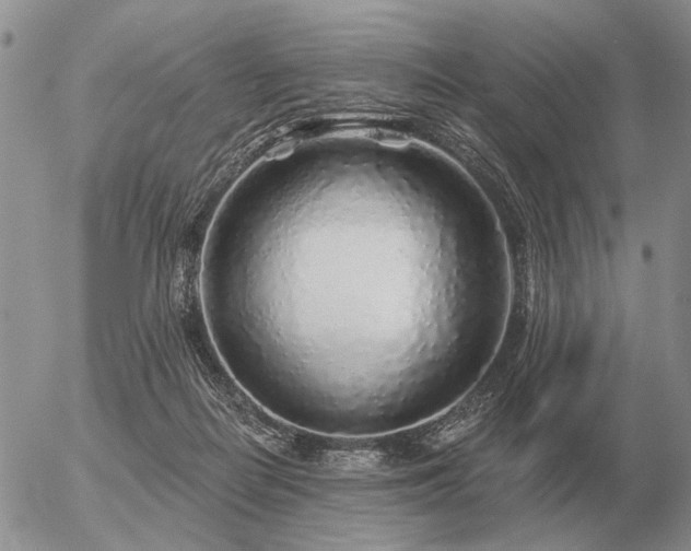 X0000056370266200508261410