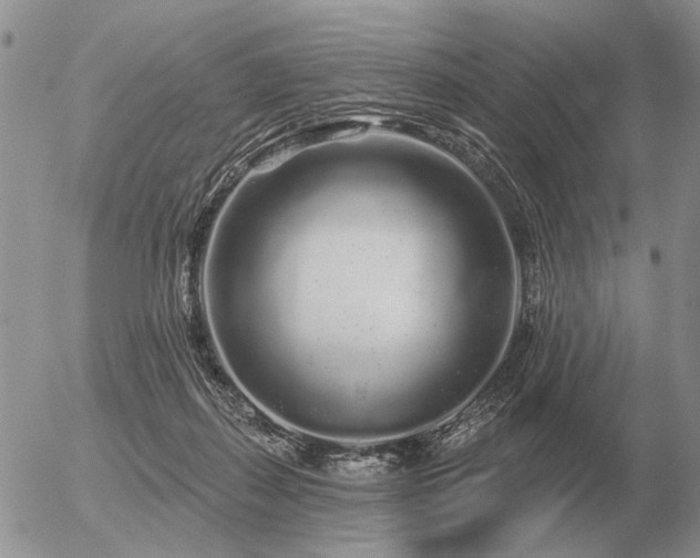 X0000056370267200508261411