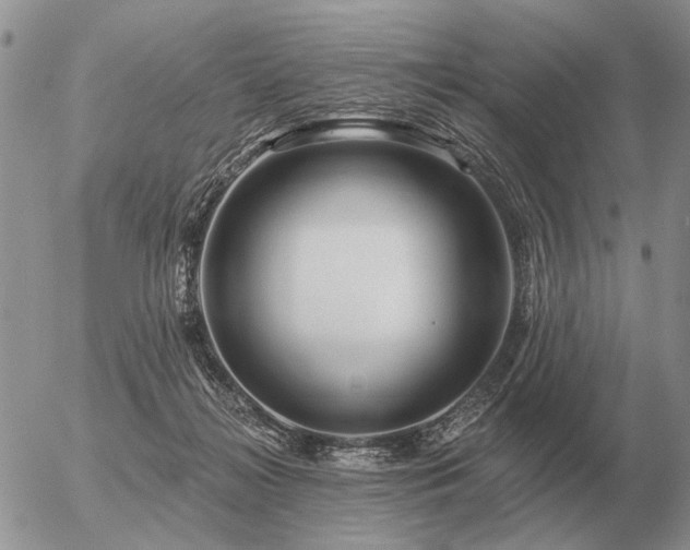 X0000056370268200508261411