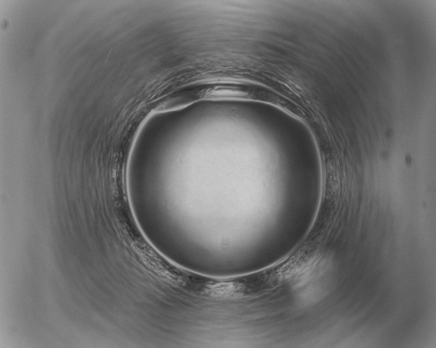 X0000056370269200508261411