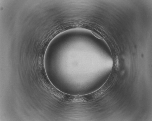 X0000056370270200508261411