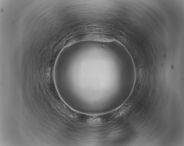 X0000056370271200508261411