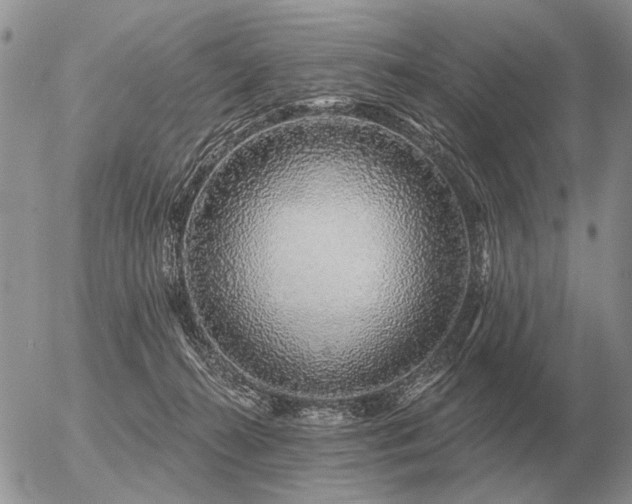 X0000056370272200508261411