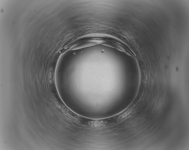 X0000056370273200508261411