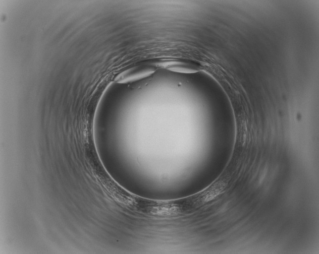 X0000056370274200508261411