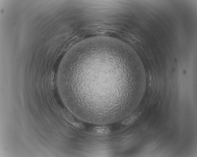 X0000056370275200508261411