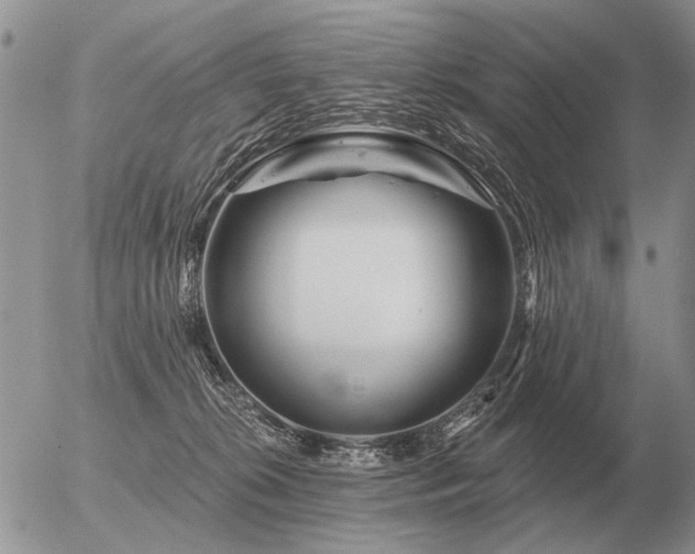 X0000056370276200508261411