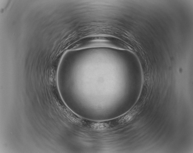 X0000056370277200508261411