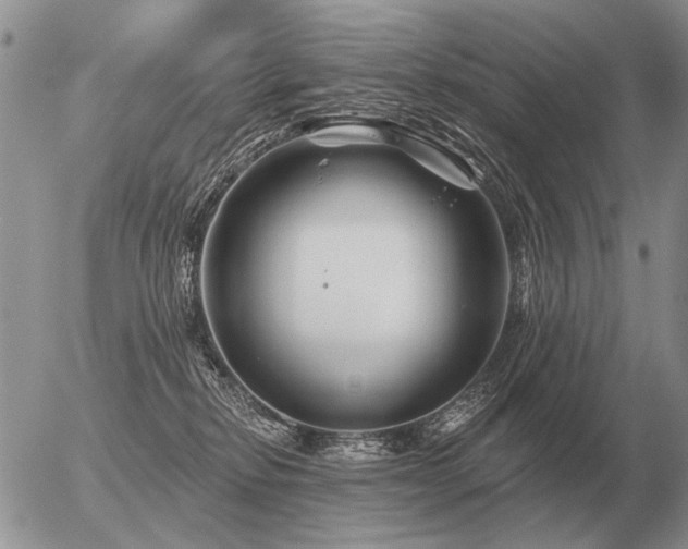 X0000056370278200508261411