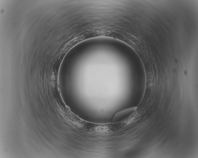 X0000056370279200508261411