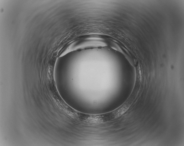 X0000056370280200508261411