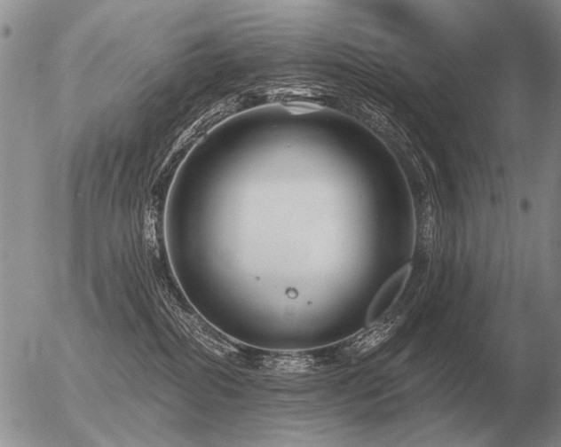 X0000056370282200508261411