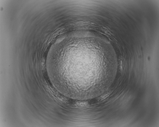 X0000056370283200508261411