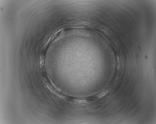 X0000056370284200508261411