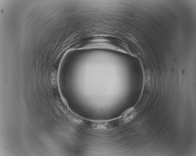 X0000056370285200508261411