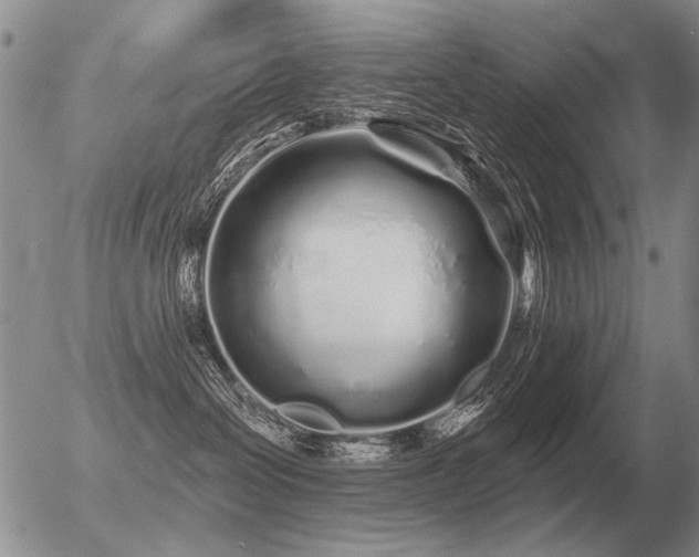 X0000056370286200508261411