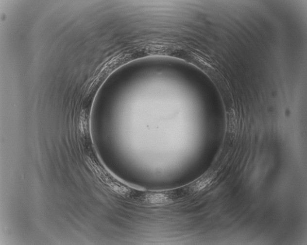 X0000056370287200508261411