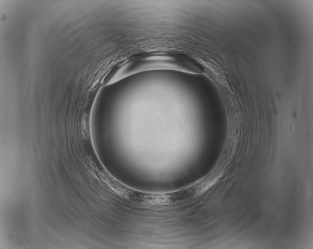 X0000056370288200508261411