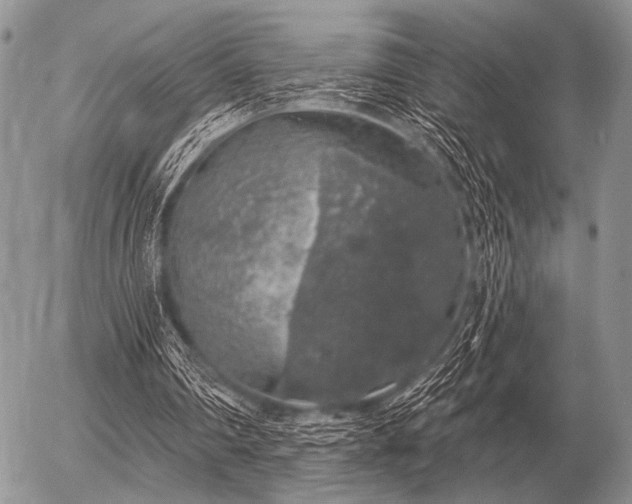 X0000056370290200508261410