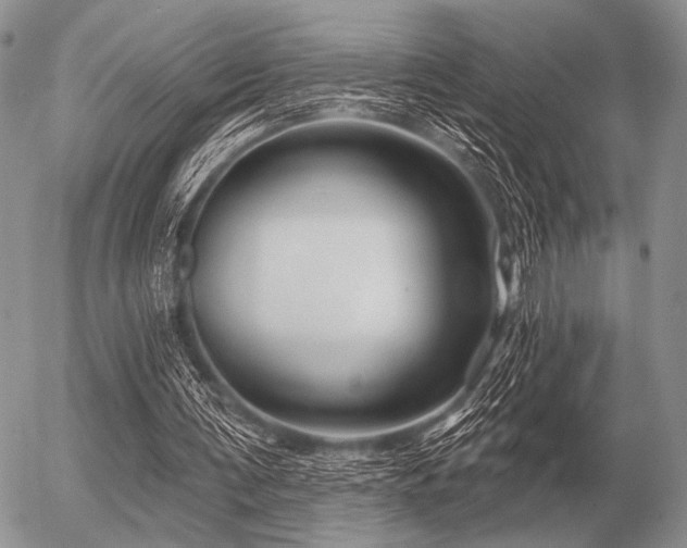 X0000056370291200508261410