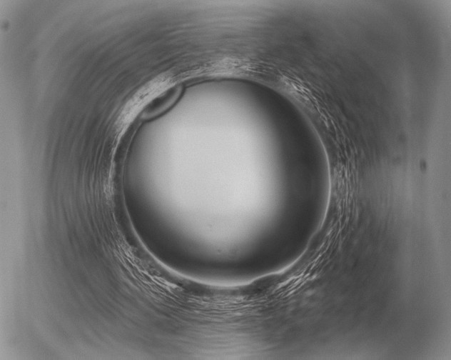 X0000056370292200508261410