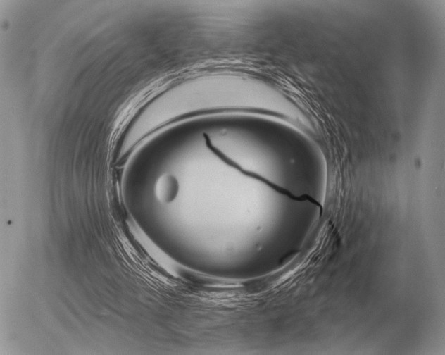 X0000056370293200508261410