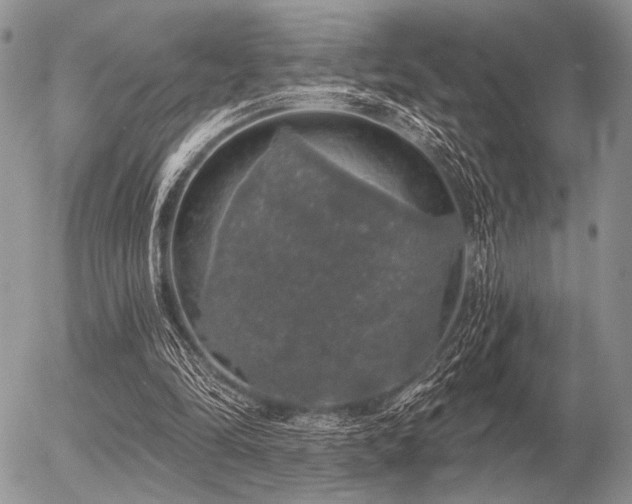 X0000056370294200508261410