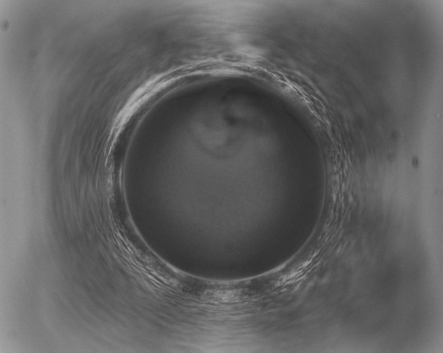 X0000056370295200508261410