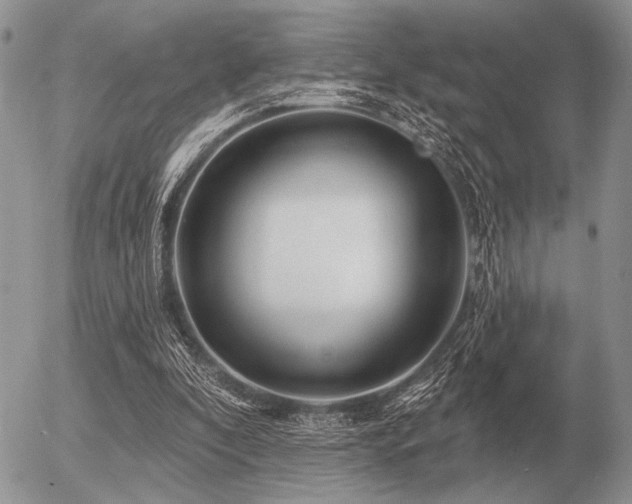 X0000056370296200508261410