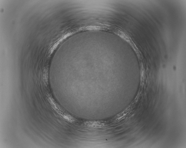 X0000056370297200508261410