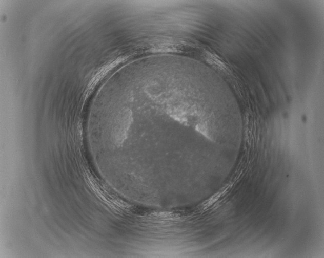 X0000056370298200508261410