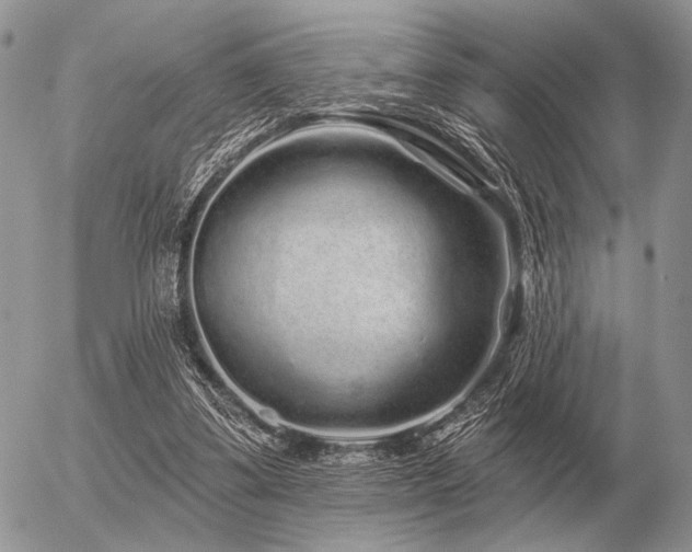 X0000056370299200508261410