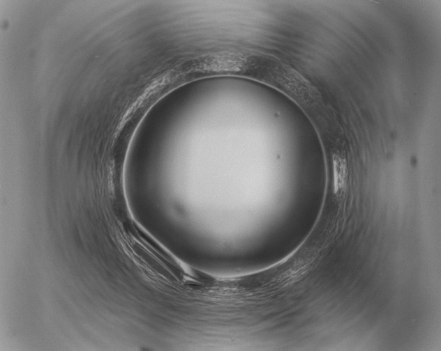 X0000056370300200508261410