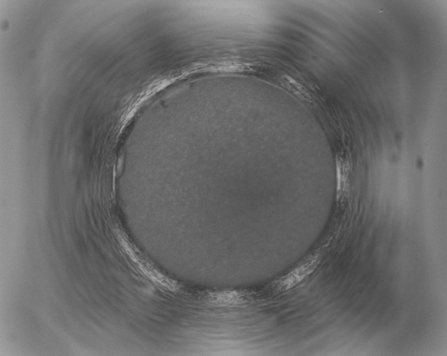 X0000056370301200508261410