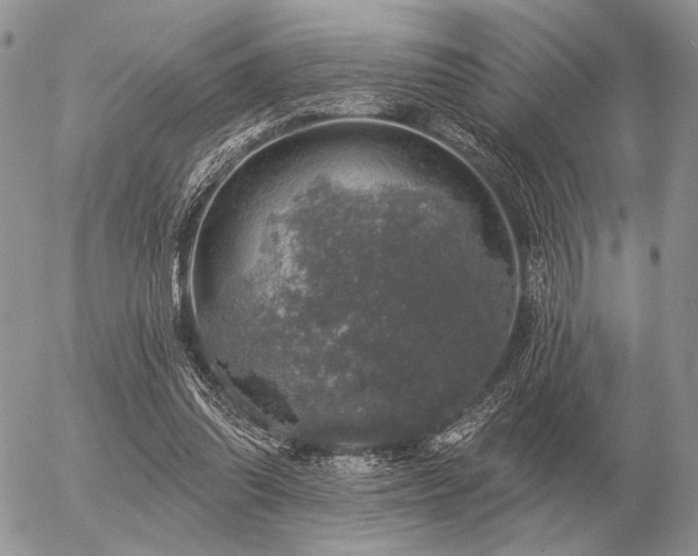 X0000056370302200508261410