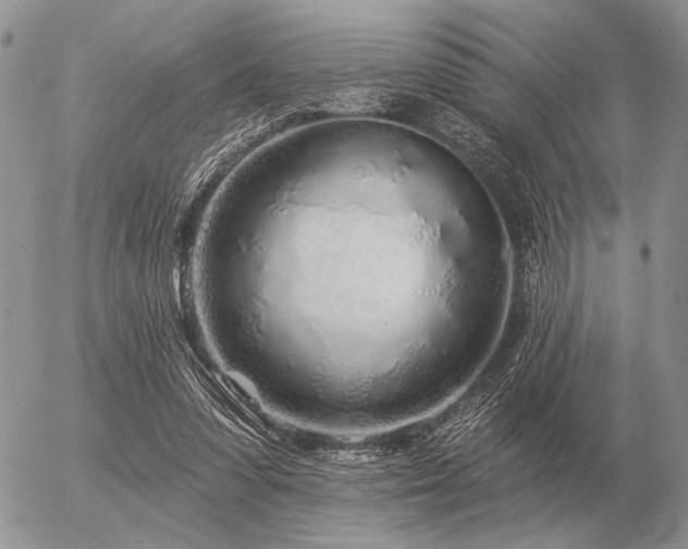 X0000056370303200508261410