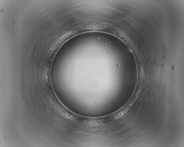 X0000056370305200508261410