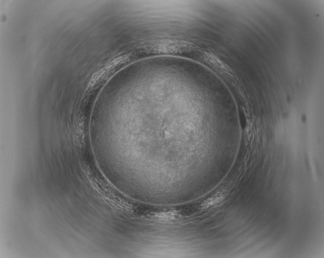 X0000056370306200508261410