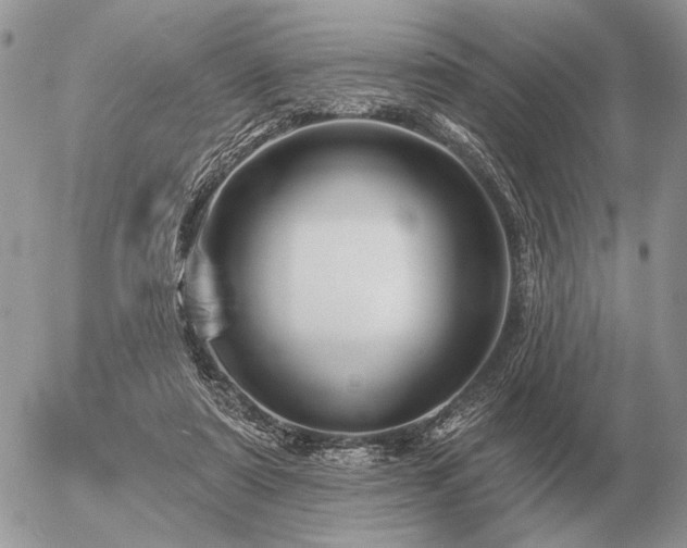 X0000056370307200508261410