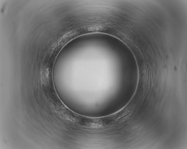 X0000056370308200508261410